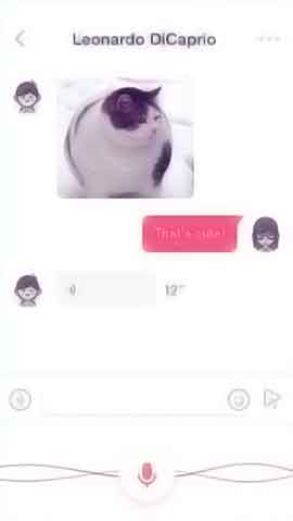 网站ddos软件程序维护界面